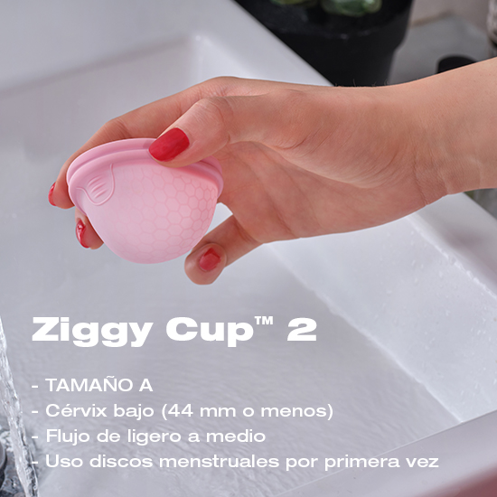 Ziggy Cup A