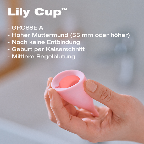 Lily Cup A