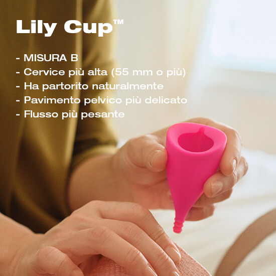 Lily Cup B