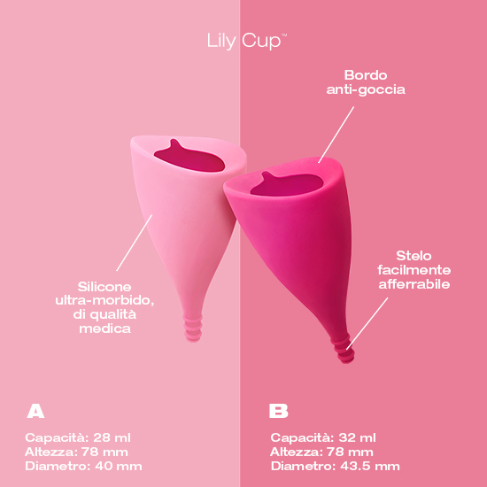 Lily Cup A