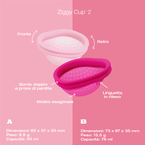 Ziggy Cup A